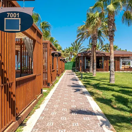 Sidera Kirman Premium