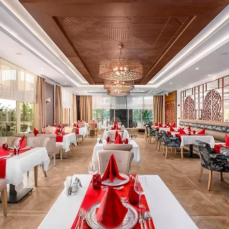 Sidera Kirman Premium