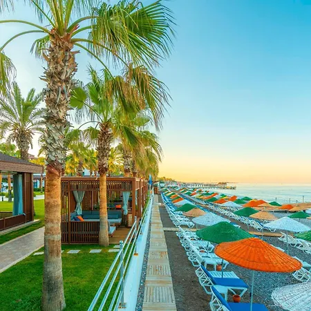 Resort Sidera Kirman Premium Okurcalar