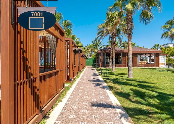 Sidera Kirman Premium